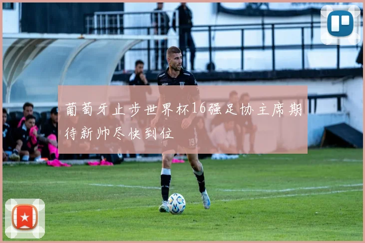 葡萄牙止步世界杯16强足协主席期待新帅尽快到位